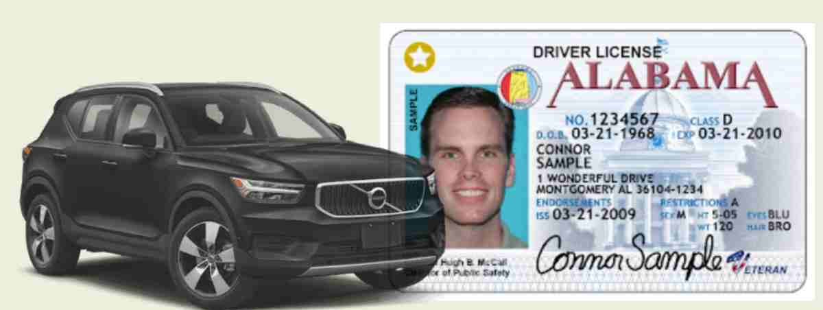 How Long Can You Drive with Expired License?