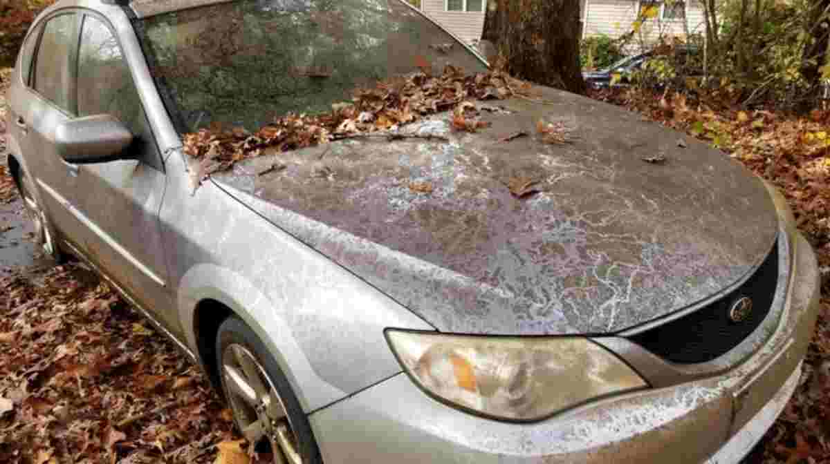 How to Get Rid of Abandoned Car on Private Property