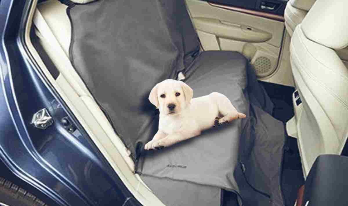 5 Best Dog Car Seat Covers for Leather Seats